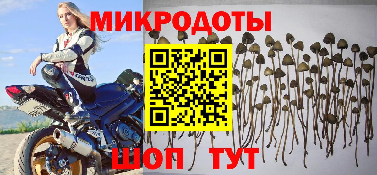 Галлюциногенные грибы Psilocybe  Вход с VPN  Прохладный 